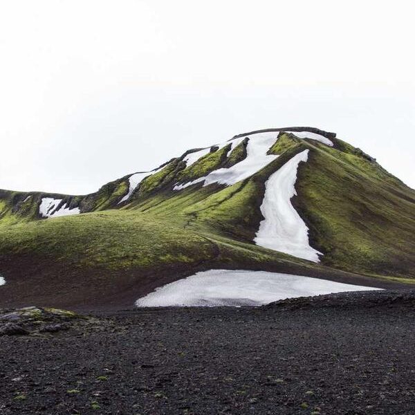 بیوی بورال